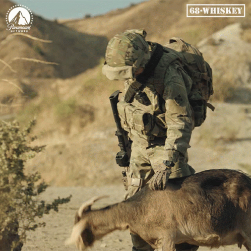 Paramount Network Ad Soldier Next To Goat GIF