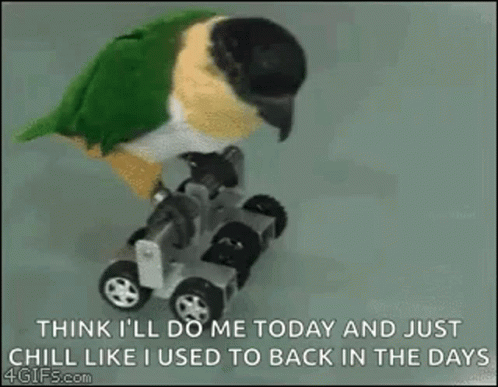 A Parrot Is Sitting On Top Of A Toy Car With Wheels . GIF