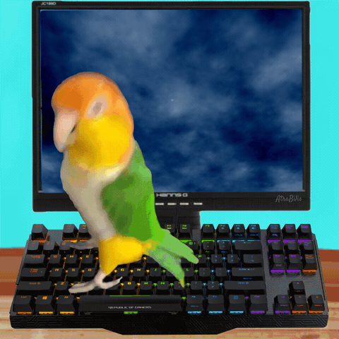 A Parrot Standing On Top Of A Keyboard In Front Of A Computer Monitor That Says Aruba GIF