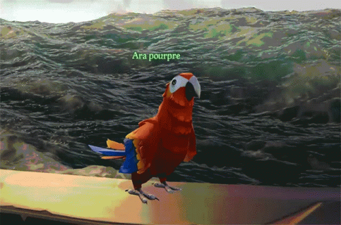 A Parrot With The Name Ara Pourpre On The Bottom GIF