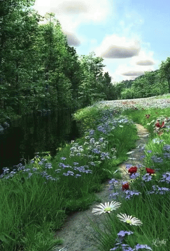 A Path Through A Field Of Flowers With The Name Linda On The Bottom Left GIF