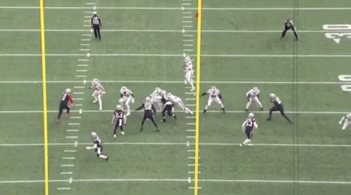 A Patriots Football Game Is Being Played On A Field GIF