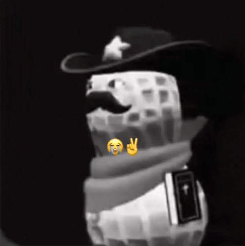 A Peanut Wearing A Cowboy Hat And Scarf Holds A Book GIF