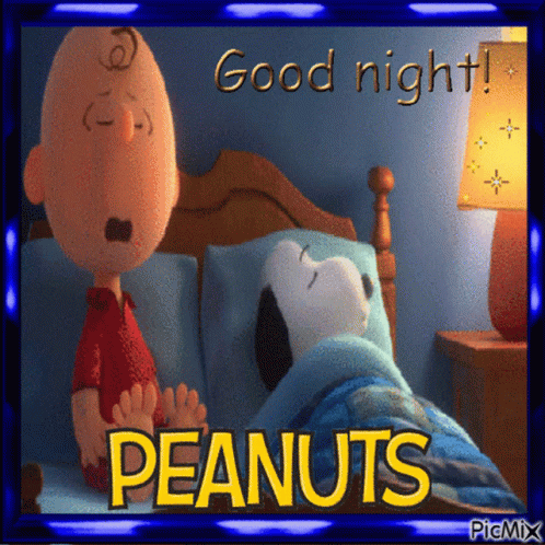 A Peanuts Poster With Charlie Brown And Snoopy GIF