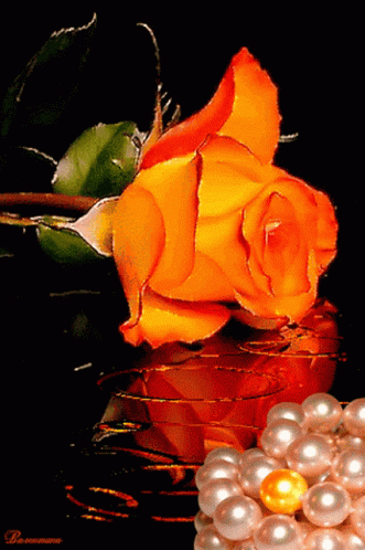 A Pearl Necklace Sits Next To An Orange Rose On A Black Surface GIF