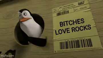 A Penguin From Madagascar Is Standing Next To A Package That Says `` Bitches Love Rocks '' . GIF
