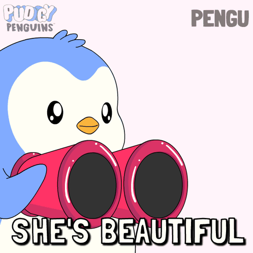 A Penguin Is Looking Through Binoculars With The Words She 'S Beautiful Below It GIF