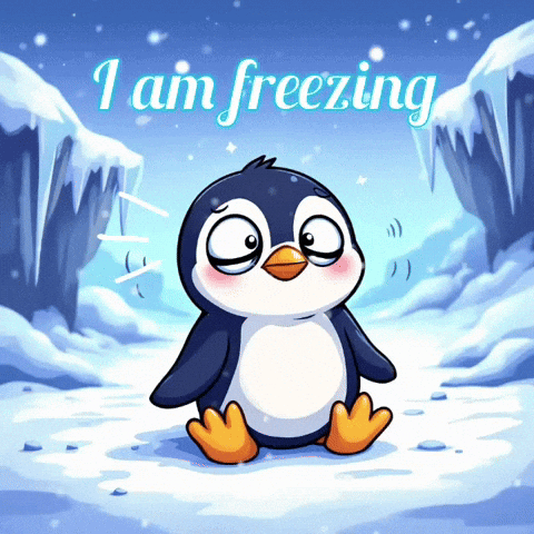 A Penguin Is Sitting In The Snow With The Words I Am Freezing Above It GIF