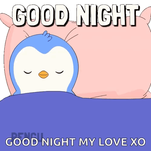 A Penguin Is Sleeping In A Bed With The Words " Good Night My Love Xo " Below It GIF