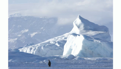A Penguin Is Standing In Front Of An Iceberg GIF