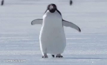 A Penguin Is Standing On Top Of A Snow Covered Surface . GIF