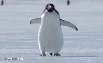 A Penguin Is Walking Across A Snowy Field With The Website Ohmagif.com In The Background GIF