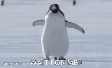 A Penguin Is Walking In The Snow And Says `` Wait For Me '' . GIF