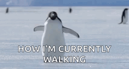 A Penguin Is Walking On Top Of A Snow Covered Field With The Words `` How I 'M Currently Walking '' . GIF