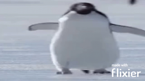 A Penguin Made With Flixier Is Standing On A Snowy Surface GIF