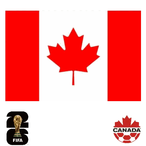 a penguin wearing a canada shirt holds a soccer ball in front of a canadian flag