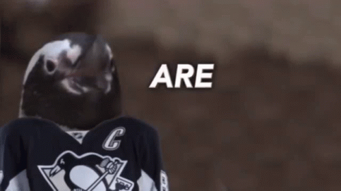 A Penguin Wearing A Jersey With The Number 6 On It GIF