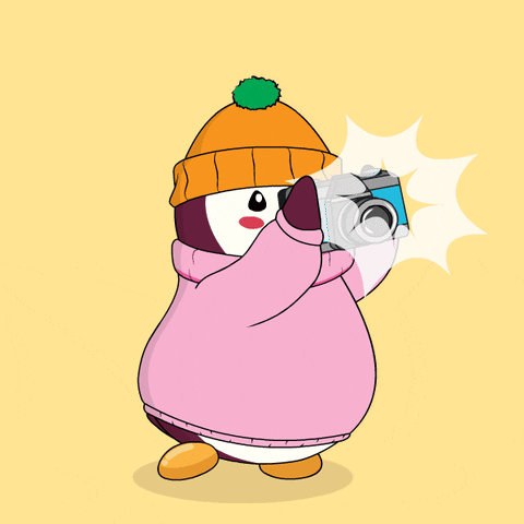 A Penguin Wearing A Pink Sweater And An Orange Hat Is Taking A Picture GIF