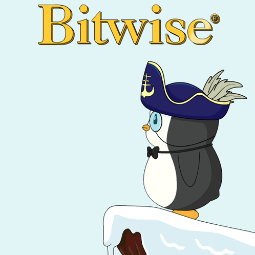 A Penguin Wearing A Pirate Hat Is Holding A Gold Pyramid And The Word Bitwise Is Above It GIF