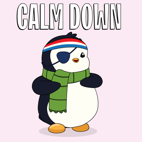 A Penguin Wearing An Eye Patch And A Scarf With The Words Calm Down Above It GIF