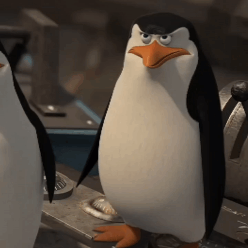 A Penguin With A Serious Look On His Face GIF