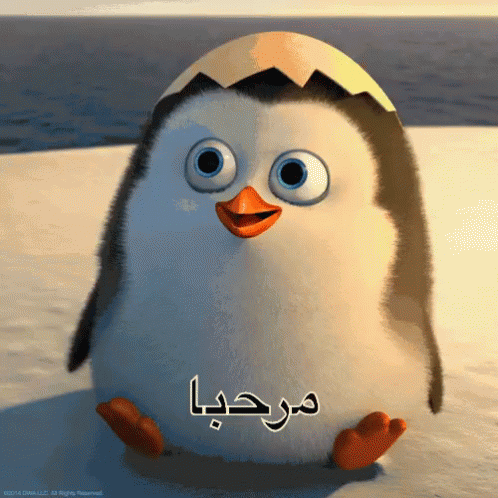 A Penguin With Arabic Writing On It 'S Head GIF