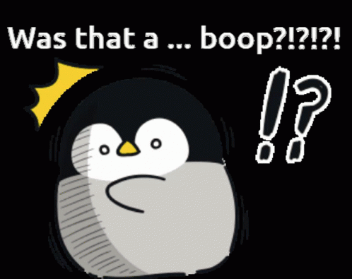 A Penguin With The Words Was That A Boop GIF
