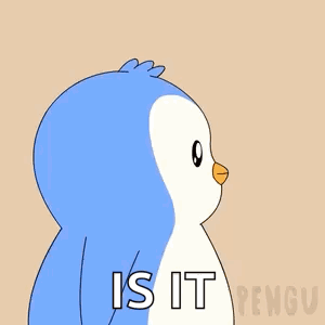 A Penguin With The Words What Is It On Its Face GIF