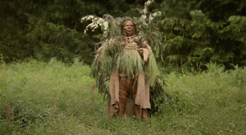 A Person Covered In Leaves Is Standing In A Field Of Grass GIF