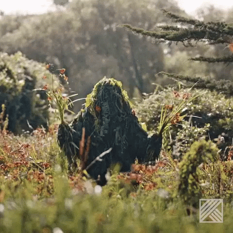 A Person Covered In Moss Is Standing In A Field Of Flowers GIF