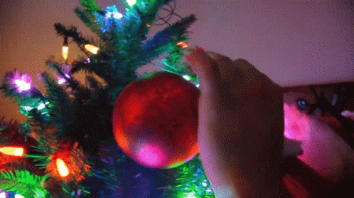 A Person Decorates A Christmas Tree With A Red Ball GIF