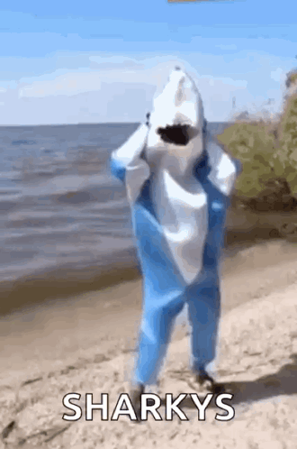 A Person Dressed As A Shark Is Standing On The Beach . GIF
