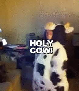 A Person Dressed In A Cow Costume With The Words Holy Cow On The Bottom GIF