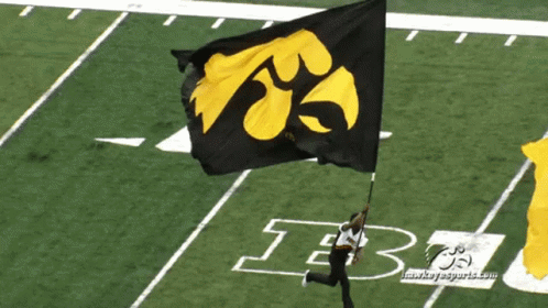 A Person Holding A Black And Yellow Flag On A Field With The Letter B On It GIF