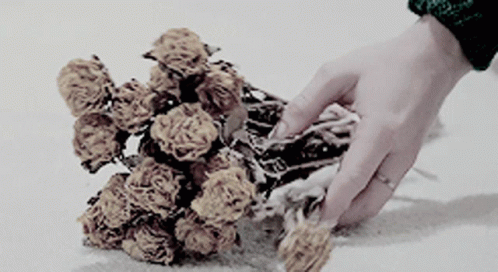 A Person Holding A Bunch Of Flowers In Their Hand GIF