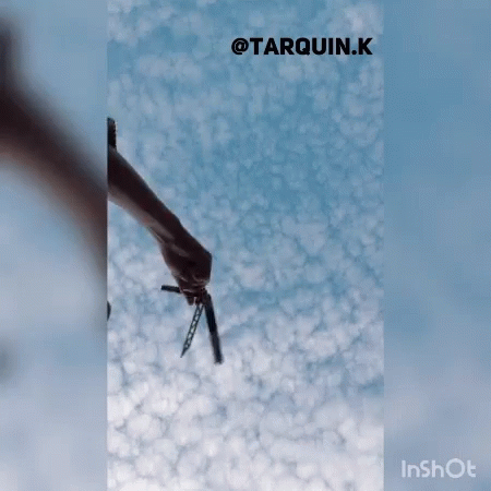 a person holding a pencil in front of a blue sky with the name tarquin.k