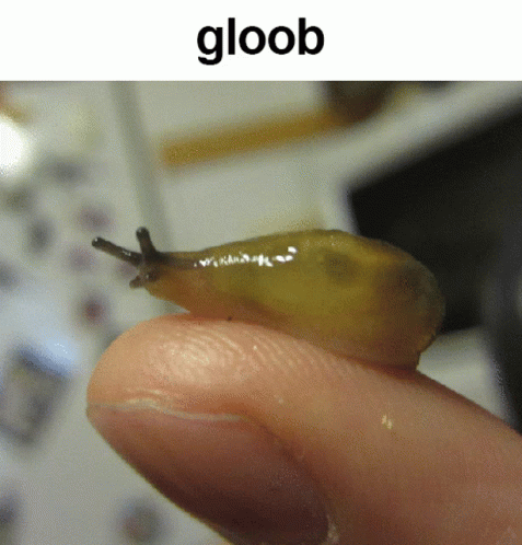 A Person Holding A Small Snail On Their Finger With The Word Gloob Below It GIF