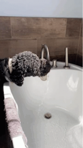 A Person Holding A Stuffed Animal Over A Bathtub GIF