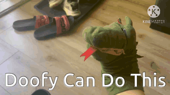 A Person Holding A Stuffed Animal With The Words Doofy Can Do This Written On The Bottom GIF