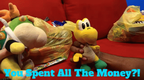 A Person Holding A Stuffed Animal With The Words " You Spent All The Money " On The Bottom GIF