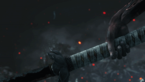 a person holding a sword with the words " this is your last wish " below them