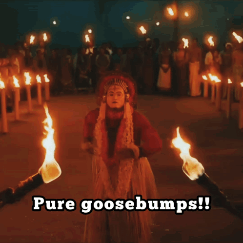 A Person Holding A Torch With The Words Pure Goosebumps Written Below Them GIF