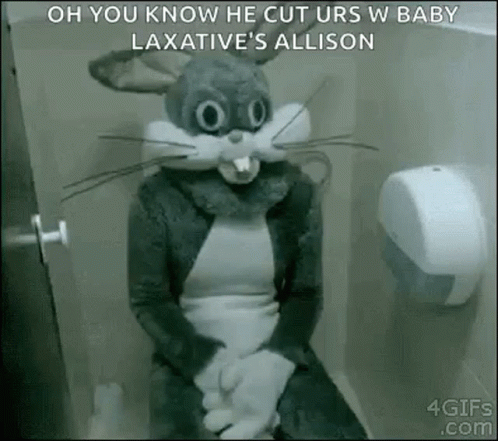 A Person In A Bunny Costume Is Sitting On A Toilet . GIF