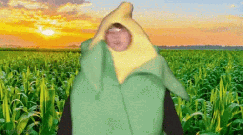 A Person In A Corn On The Cob Costume Is Standing In A Field Of Corn . GIF