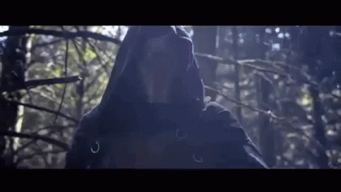 A Person In A Hooded Sweatshirt Is Standing In The Woods . GIF