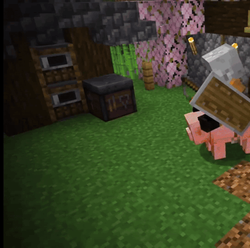 A Person In A Minecraft Game Is Holding A Wooden Shield Over Their Head GIF