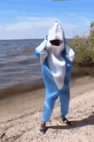 A Person In A Shark Costume Is Standing On A Beach Near The Water . GIF