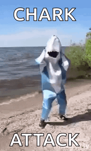 A Person In A Shark Costume Is Standing On The Beach . GIF