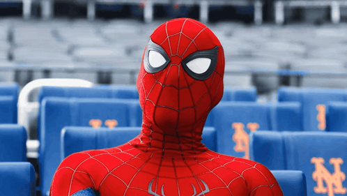a person in a spiderman costume sitting in a stadium