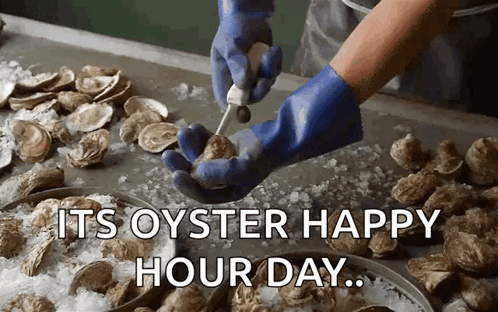 A Person In Blue Gloves Is Cutting An Oyster With The Words " Its Oyster Happy Hour Day " GIF